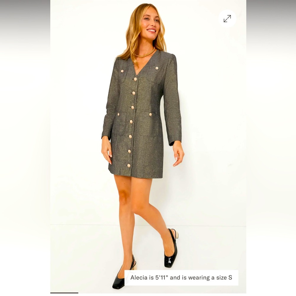 Pomander place metallic tweed dress from Tuckernuck, size xs NWT